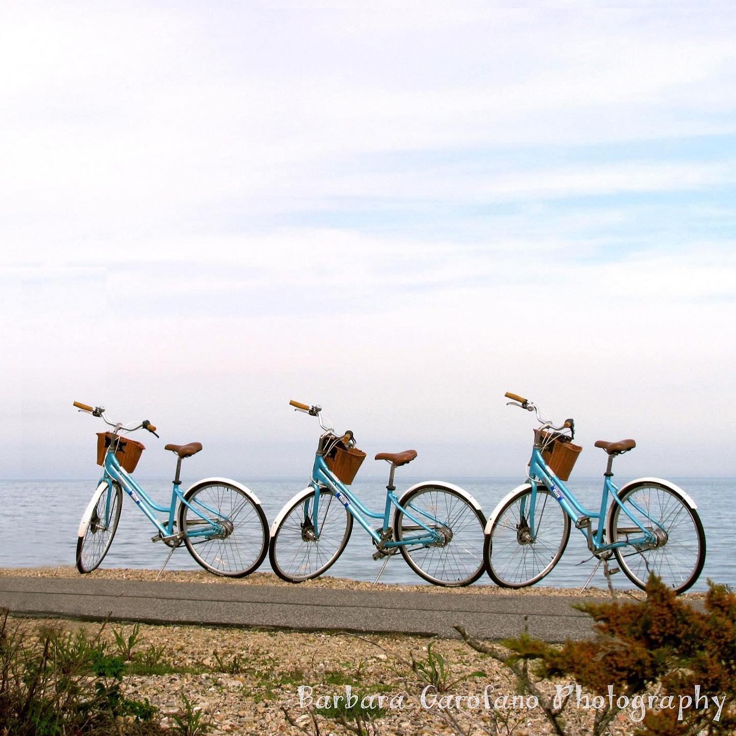 Perfect day fires bike ride! Get out and peddle your cares away!
@shiningseabikeway