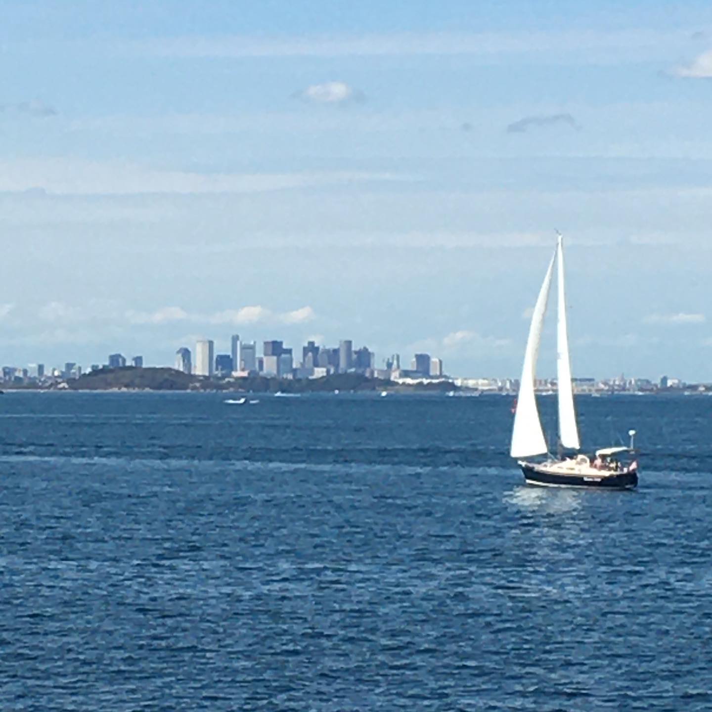 What a glorious day Yes I sell prints too what a glorious day yes i sell prints too boston sailboat fall october2020 bostonharbor profession 3