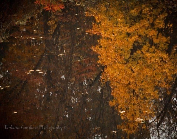 Reflecting reflecting reflections photographer isellprintstoo fallcolors pondlife raw southshorema golden wa