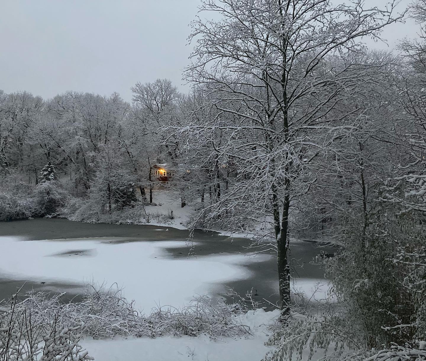 Freshly fallen snow The best freshly fallen snow the best sopretty freshsnow winterwonderland winterinnewengland photographer i