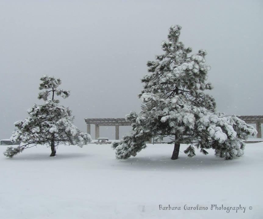  grayday snowday nantasketbeach photographer raw southshorema southshoreliving southshorephotographer