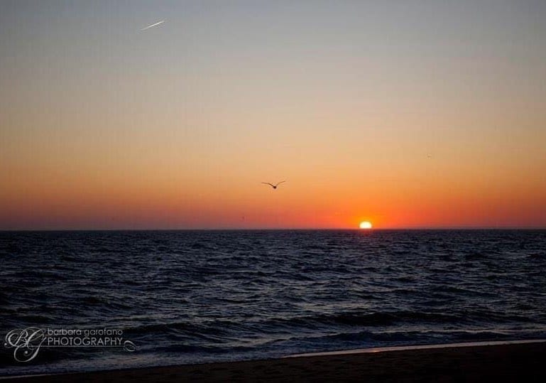  capecodphotography ptown sunsetphotography southshorephotographer cuethebird isellprints