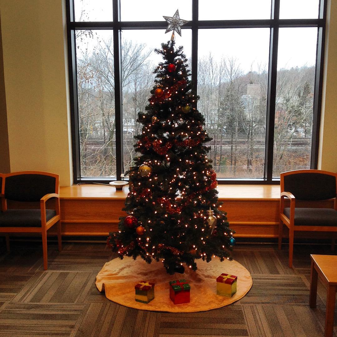 Our office building Christmas tree.