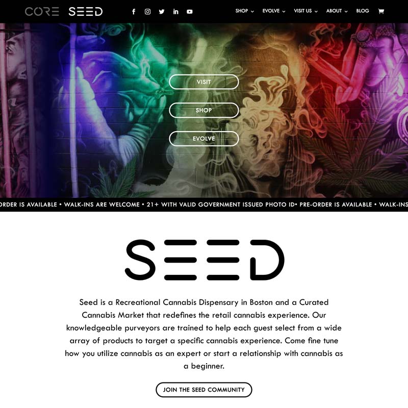 Cannabis Dispensary Website Developers boston ma