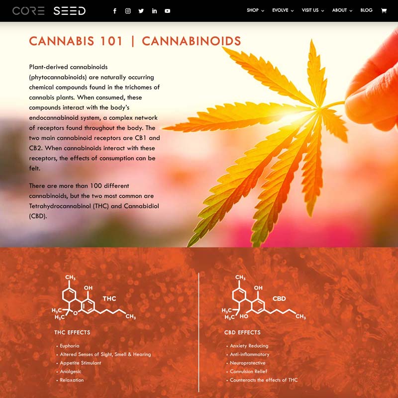 Recreational Cannabis Dispensary Websites