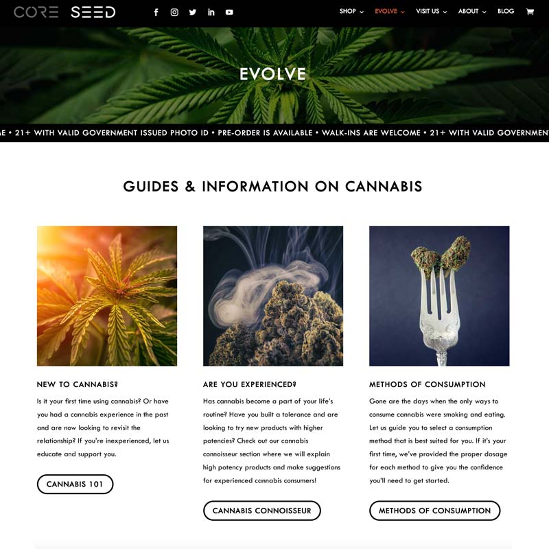 cannabis dispensary seo