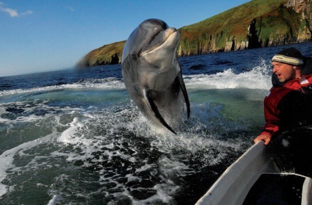 Trips to Ireland - Cliffs of Moher