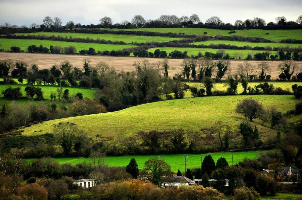 irish countryside irish countrysidejpg990x0 q80 crop smart