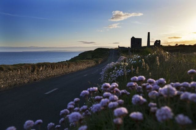 copper coast of waterford in the spring