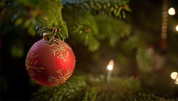 christmas ornament on tree