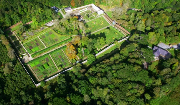 ireland wall gardens 