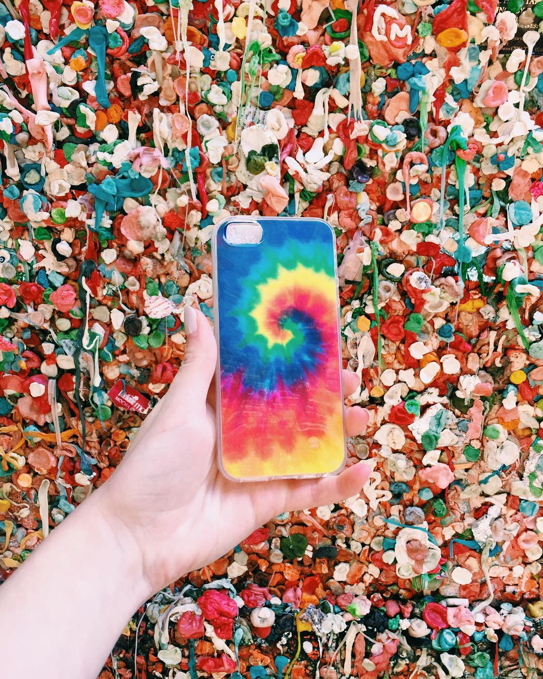 cbk takes in Seattle  WWWCASESBYKATECOM