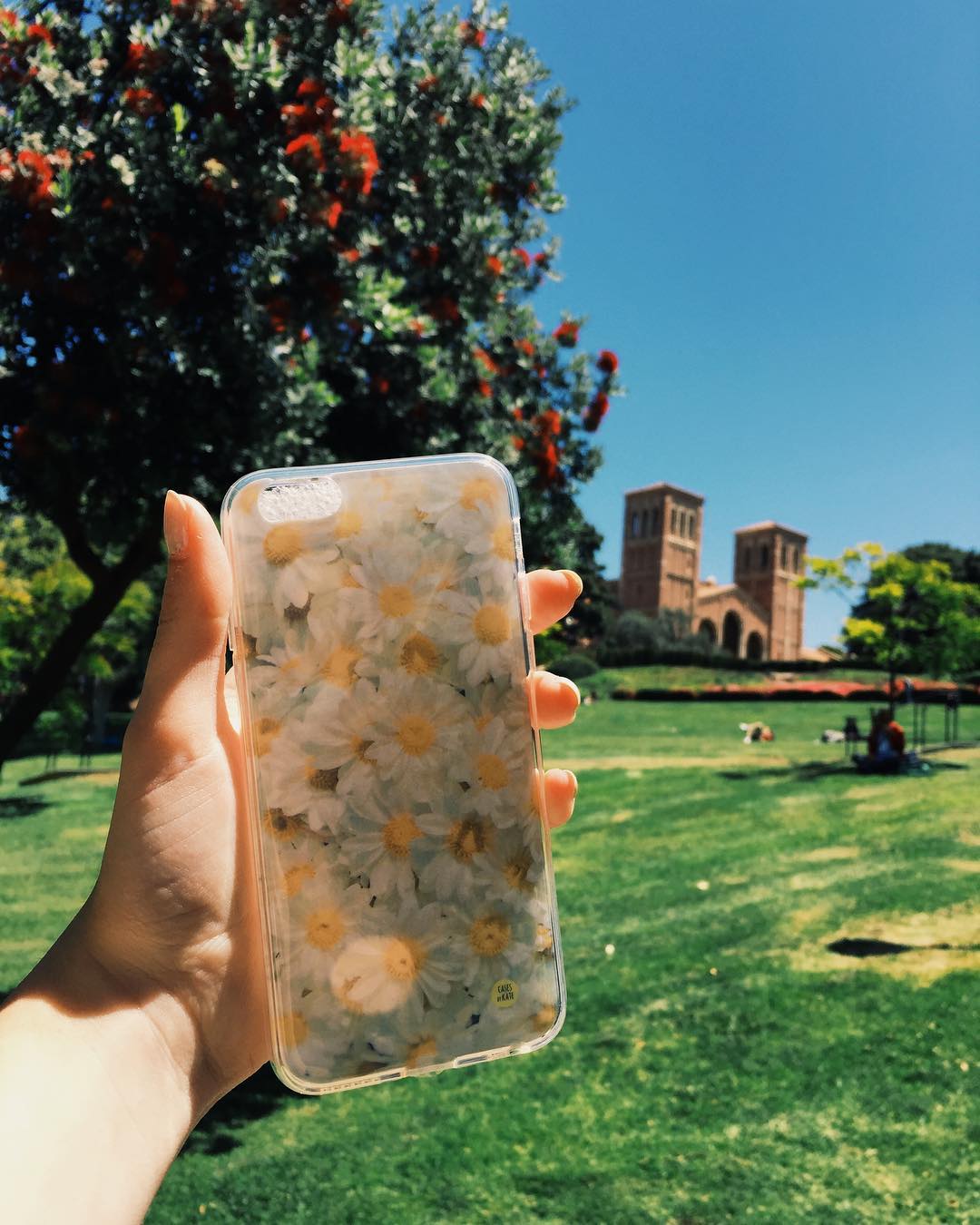 Take us back to this California sunshine ? Find our Daisies case in our Floral category at WWW.CASESBYKATE.COM