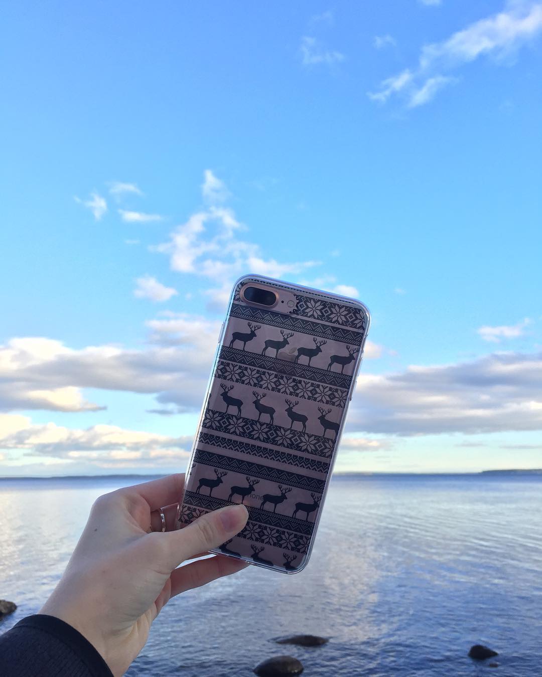 Love this pic of our Nordic Deer Pattern case ?️ find it now in our Transparent category - only $14 for all sizes!