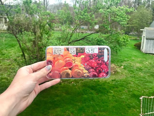 custom case created by me :) featuring a painting for my AP art portfolio  you still have time to make a custom case for #MOTHERSDAY  buy a case from WWW.CASESBYKATE.COM and put whatever you want on it, a monogram, painting, family picture, etc. #sale #phonecase #painting #art #smallbusiness #artist