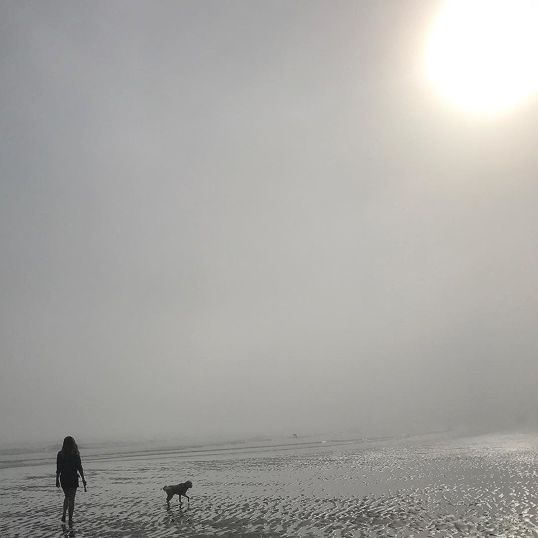 Relaxing walk in the fog with my buddy at Higgins Beach #nofilter #higginsbeach #beachwalk #maine #summernights #thewaylifeshouldbe #heartenhome