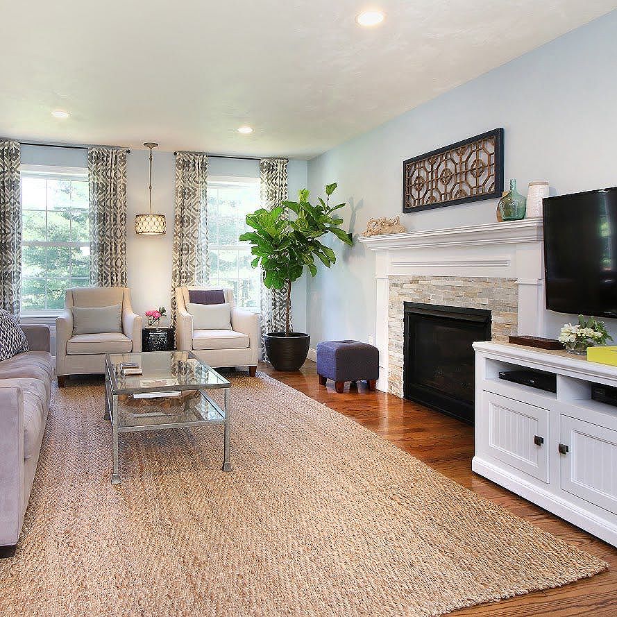 Fiddle leaf fig trees are a perfect statement plant for an empty corner
